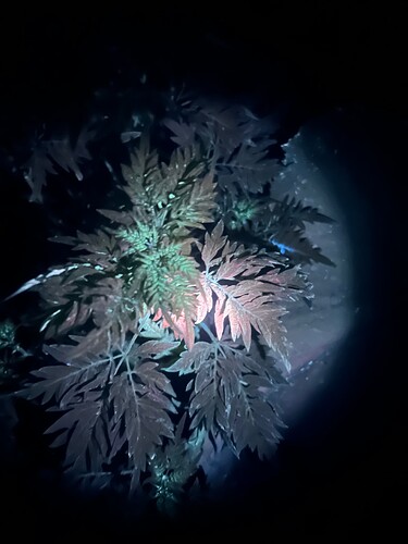 Growreport Bild 10