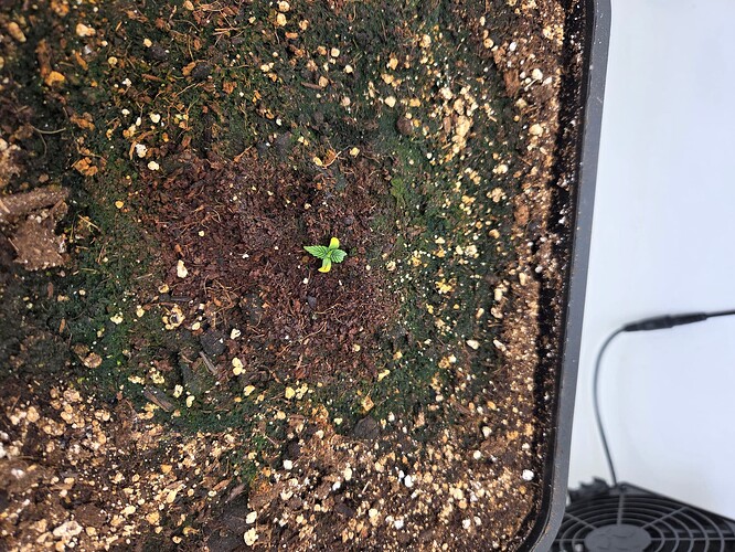 Growreport Bild 16