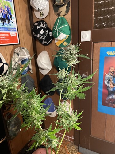 Growreport Bild 14