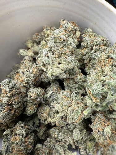 Growreport Bild 27