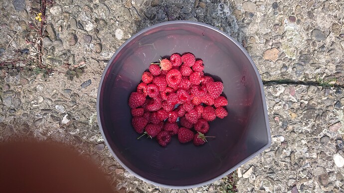 Growreport Bild 10