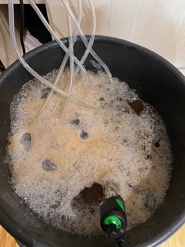 Growreport Bild 5