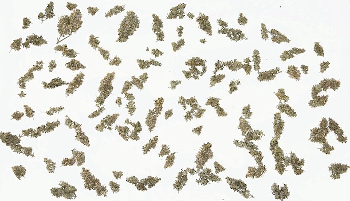 Growreport Bild 23
