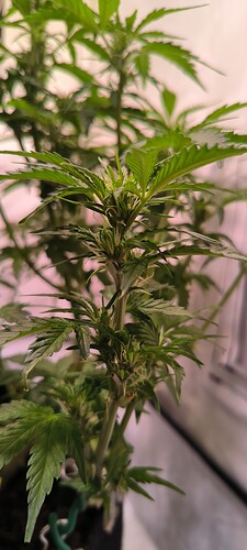 Growreport Bild 14
