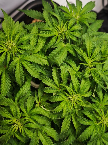 MVIMG_20251016_171305