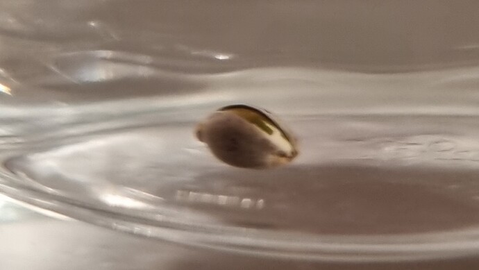 Growreport Bild 21