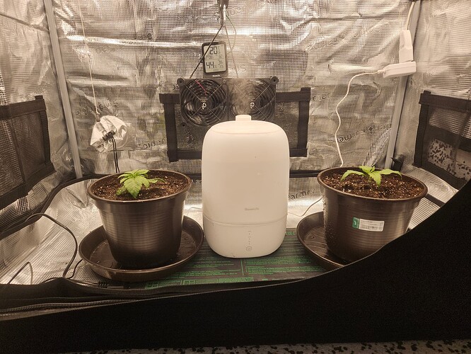 Growreport Bild 10