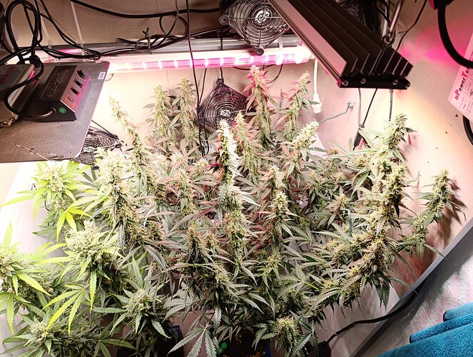 Growreport Bild 16