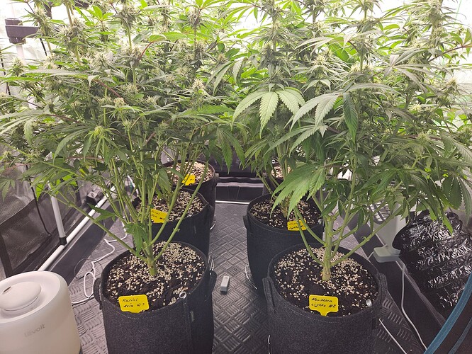 Growreport Bild 10