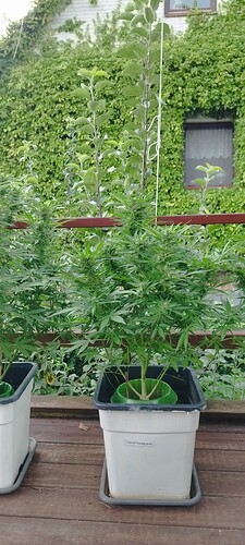 Growreport Bild 21