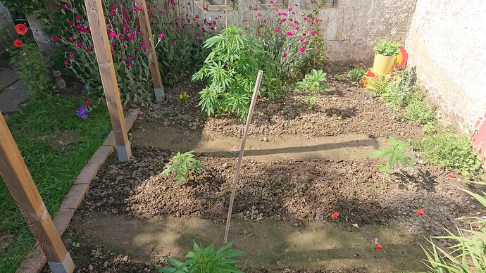 Growreport Bild 41