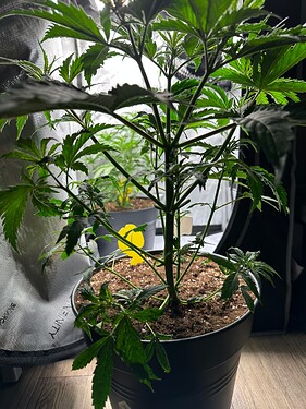 Growreport Bild 34