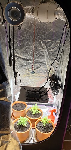 Growreport Bild 1