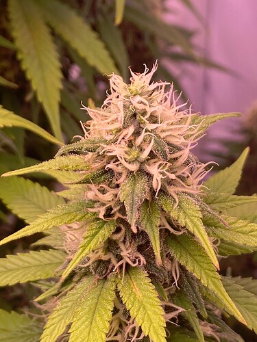 Growreport Bild 21