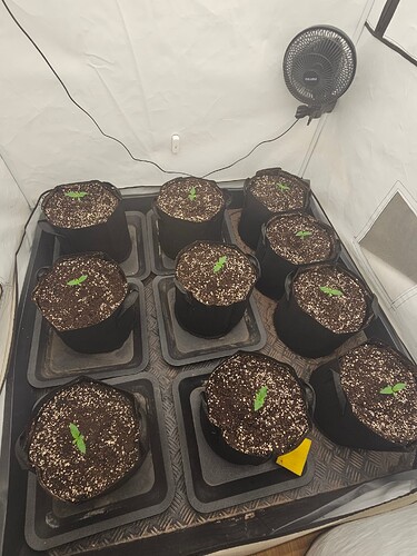 Growreport Bild 7