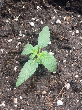 Growreport Bild 16