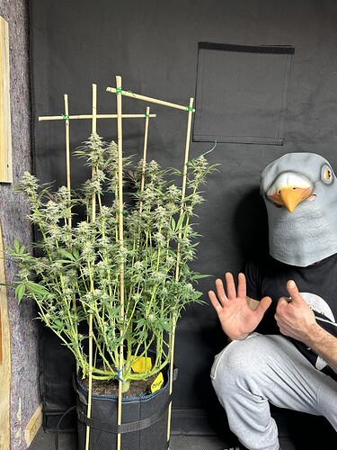 Growreport Bild 11