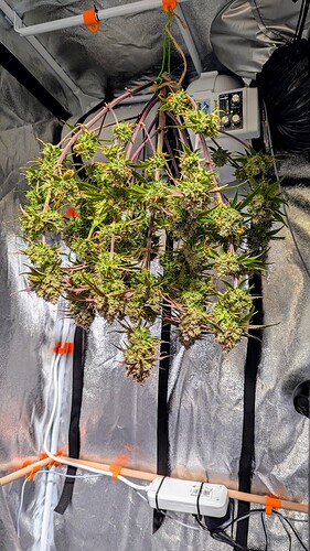 PXL_20240908_154824471