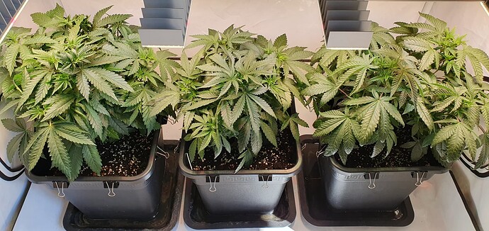 Growreport Bild 10