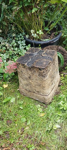 IMG_20241003_121136