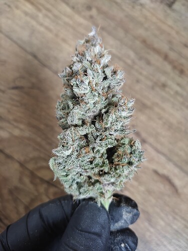 Growreport Bild 18