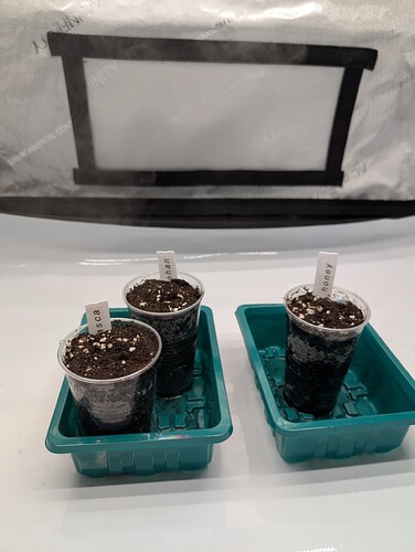 Growreport Bild 9