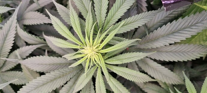 Growreport Bild 10