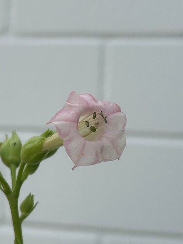 Growreport Bild 13