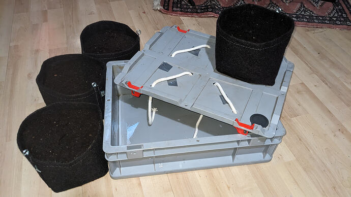 PXL_20260309_121246613