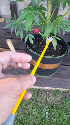 Growreport Bild 64