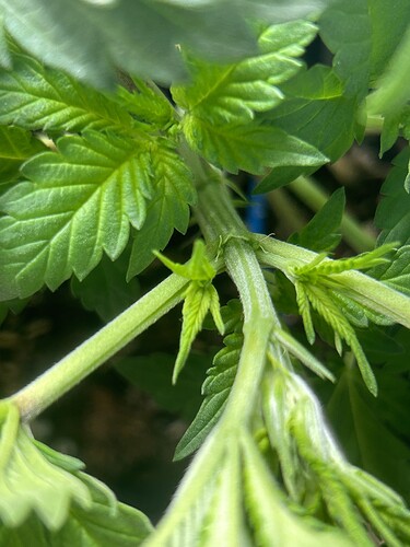 Growreport Bild 11