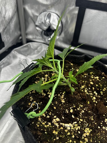 Growreport Bild 12