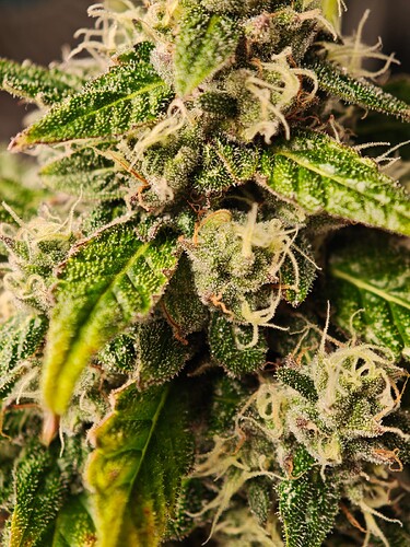 Growreport Bild 18
