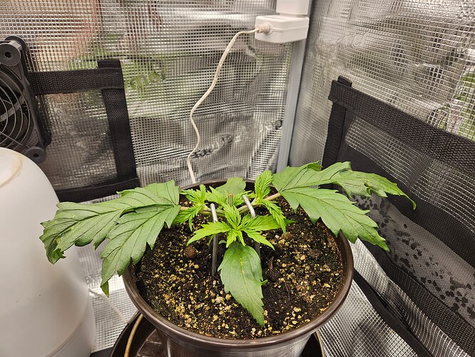 Growreport Bild 23