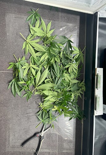 20240516_163314979_iOS