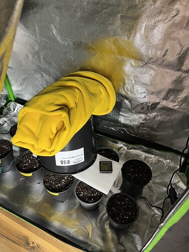 Growreport Bild 8