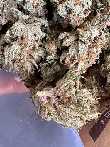Growreport Bild 14