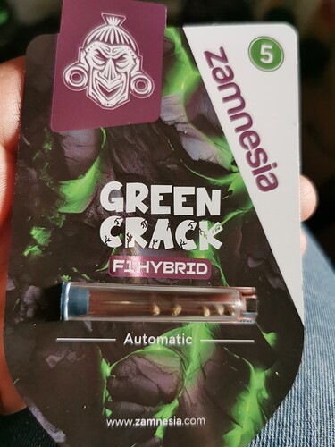 17396249809045434091295137797623