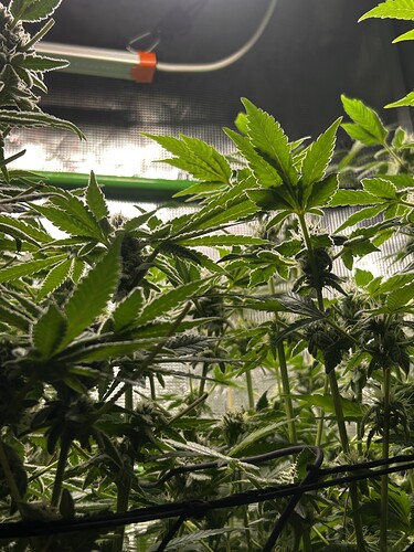 Growreport Bild 8