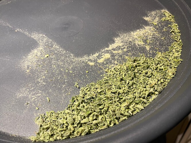 Growreport Bild 56