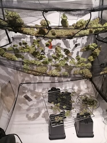 Growreport Bild 34