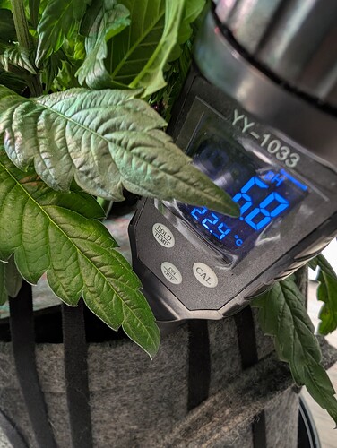 Growreport Bild 4