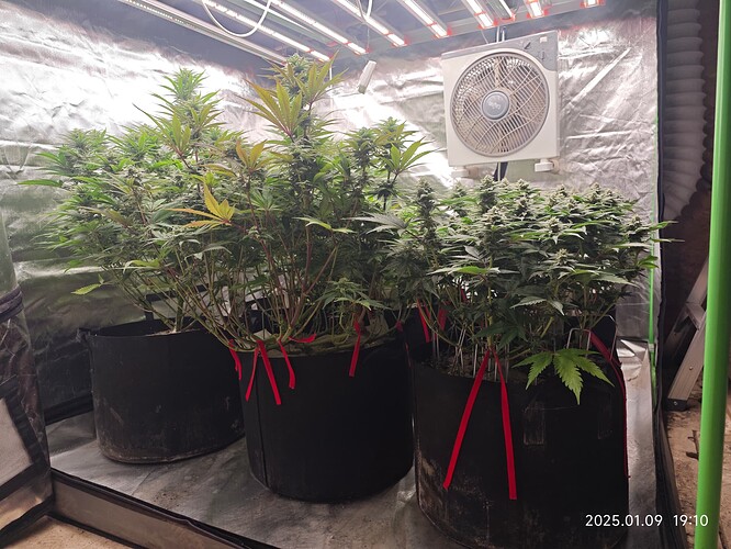 Growreport Bild 10