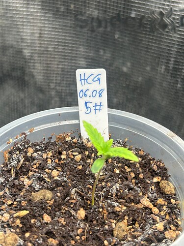 Growreport Bild 11