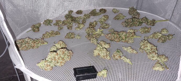 Growreport Bild 49
