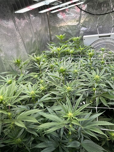 Growreport Bild 11