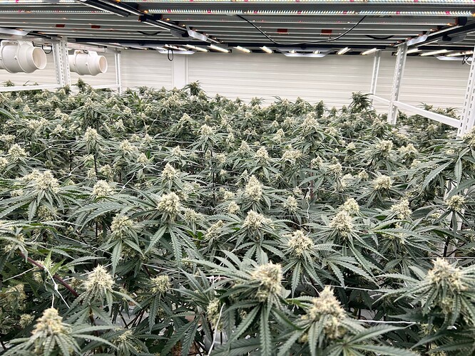 Growreport Bild 22