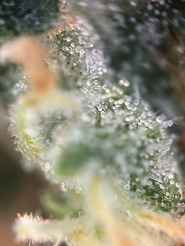 Growreport Bild 23