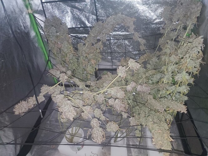 Growreport Bild 9