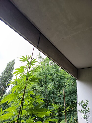 Growreport Bild 6